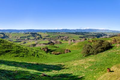 2850 Kimbolton Road, Kimbolton, Manawatu | Tall Poppy 