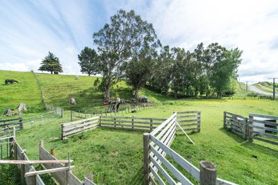 187 Cemetery Rd, Sanson, Manawatu | Tall Poppy 