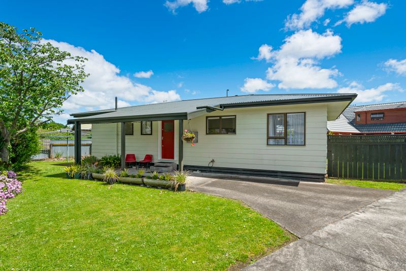 21 Manson Street, Terrace End, Palmerston North City, Manawatu Tall