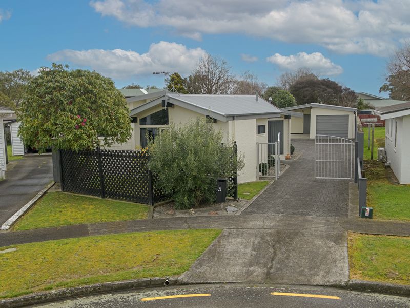 3 Mcdonald Place, Awapuni, Palmerston North City