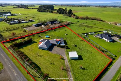 394A Makino Road, Feilding, Manawatu | Tall Poppy 