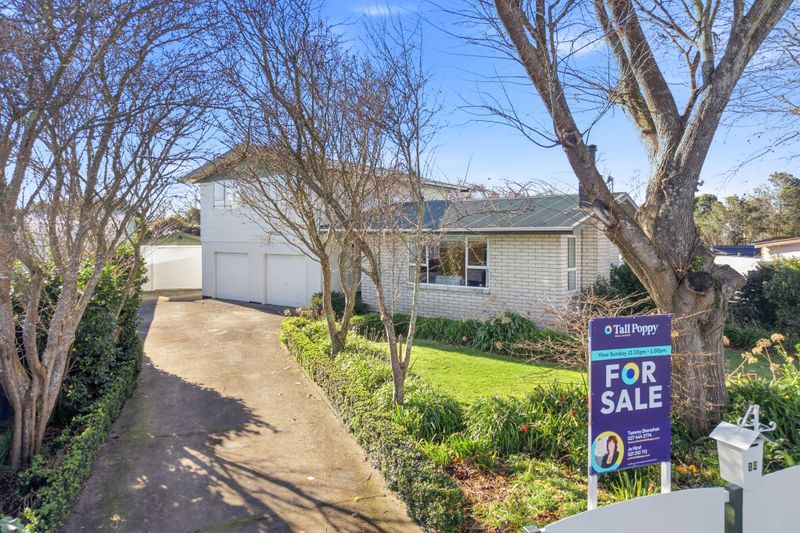 12 Dawson Street, Pahiatua, Tararua