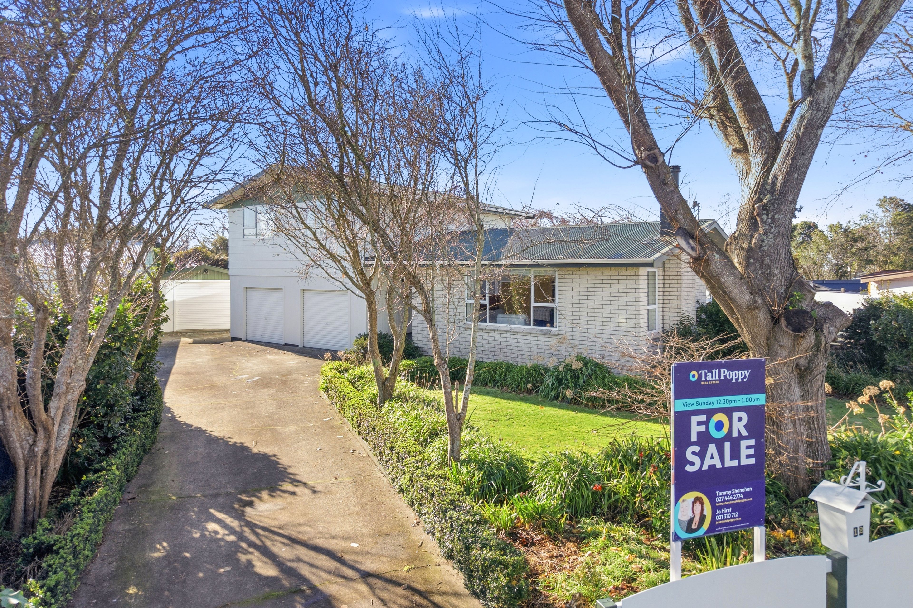 12 Dawson Street, Pahiatua, Tararua, Manawatu | Tall Poppy