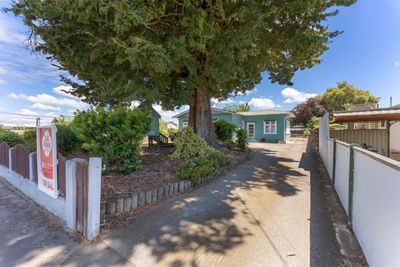 18 Sedcole Street, Pahiatua, Tararua, Manawatu | Tall Poppy 