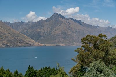 6/8 Mckerrow Place, Sunshine Bay, Queenstown, Otago | Tall Poppy 