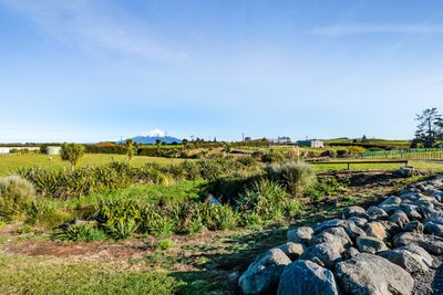 647 Beaconsfield Road, Stratford, Taranaki | Tall Poppy 