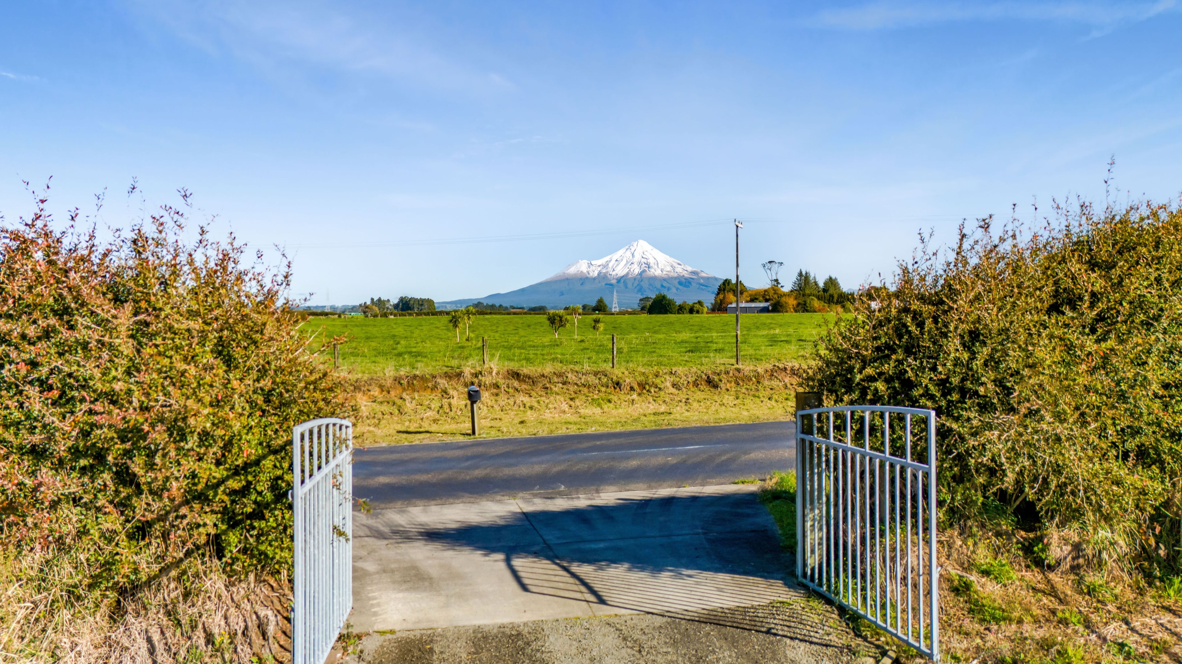 647 Beaconsfield Road, Stratford, Taranaki | Tall Poppy