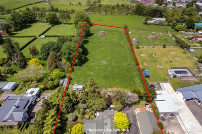 193 Regan Street, Stratford, Taranaki | Tall Poppy 