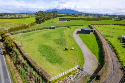 376 Monmouth Road, Stratford, Taranaki | Tall Poppy 