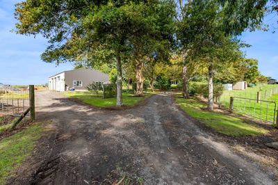 382 Brookes Road, Cardiff, Stratford, Taranaki | Tall Poppy 