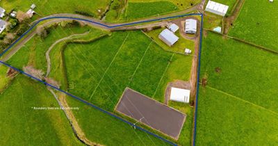 144 Victoria Road, Stratford, Taranaki | Tall Poppy 