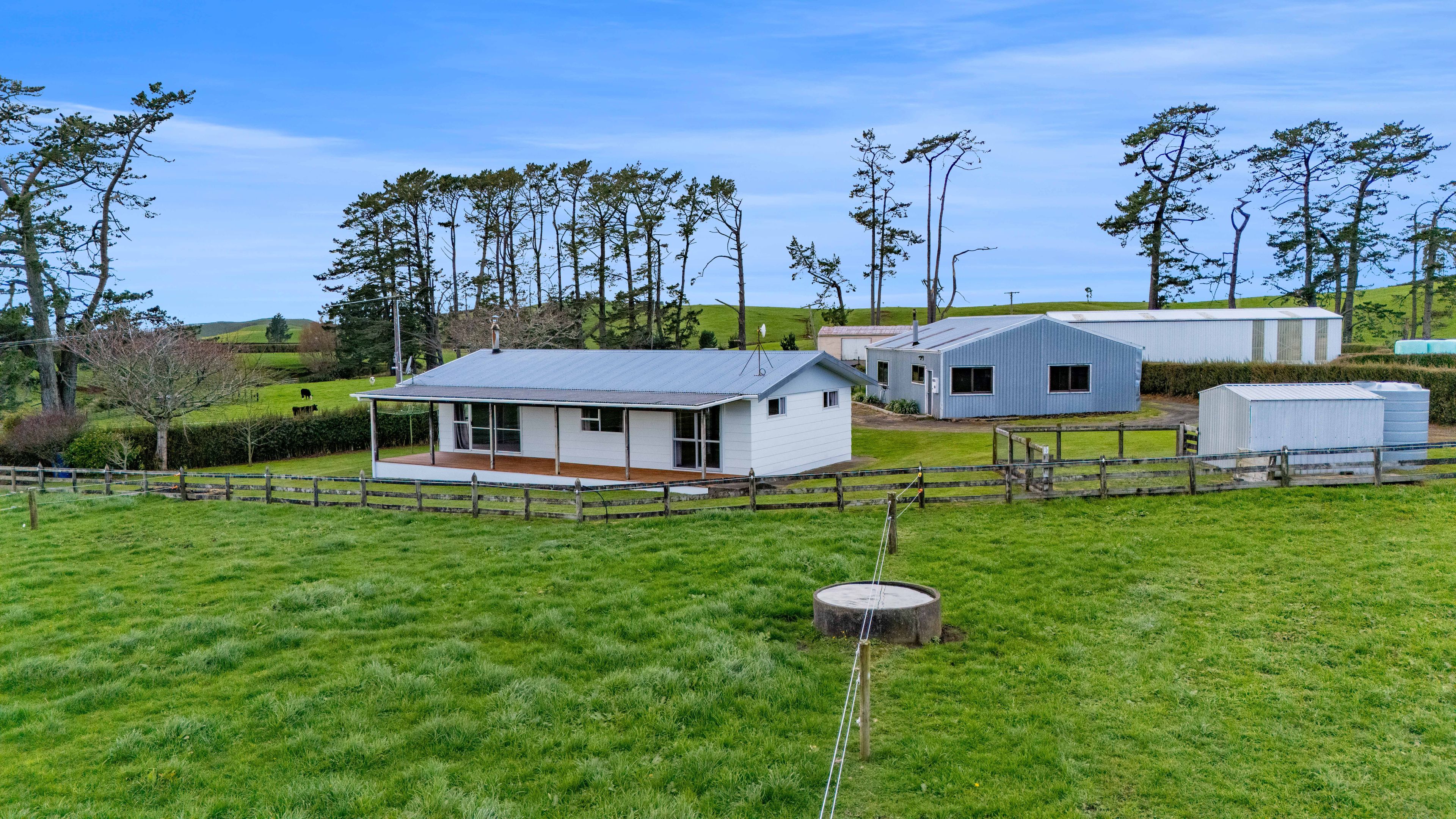 144 Victoria Road, Stratford, Taranaki | Tall Poppy