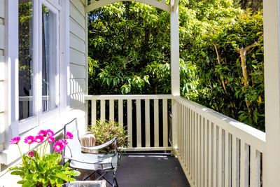 31 Portia Street, Stratford, Taranaki | Tall Poppy 