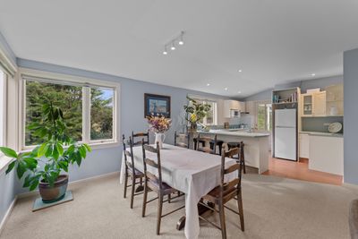 532 Leeston Road, Springston, Selwyn, Canterbury | Tall Poppy 