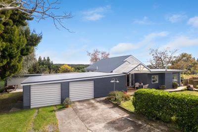 806A Oropi Road, Oropi, Tauranga, Bay of Plenty | Tall Poppy 