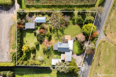 806A Oropi Road, Oropi, Tauranga, Bay of Plenty | Tall Poppy 