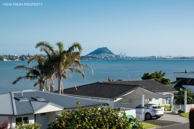 34 Vine Avenue, Maungatapu, Tauranga, Bay of Plenty | Tall Poppy 