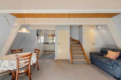 162C Fraser Street, Tauranga South, Tauranga, Bay of Plenty | Tall Poppy 