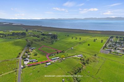 722B Back Miranda Road, Miranda, Waikato | Tall Poppy 