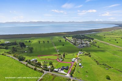 722B Back Miranda Road, Miranda, Waikato | Tall Poppy 