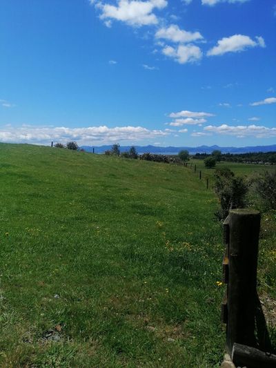 722B Back Miranda Road, Miranda, Waikato | Tall Poppy 