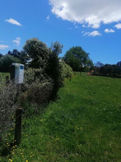 722B Back Miranda Road, Miranda, Waikato | Tall Poppy 