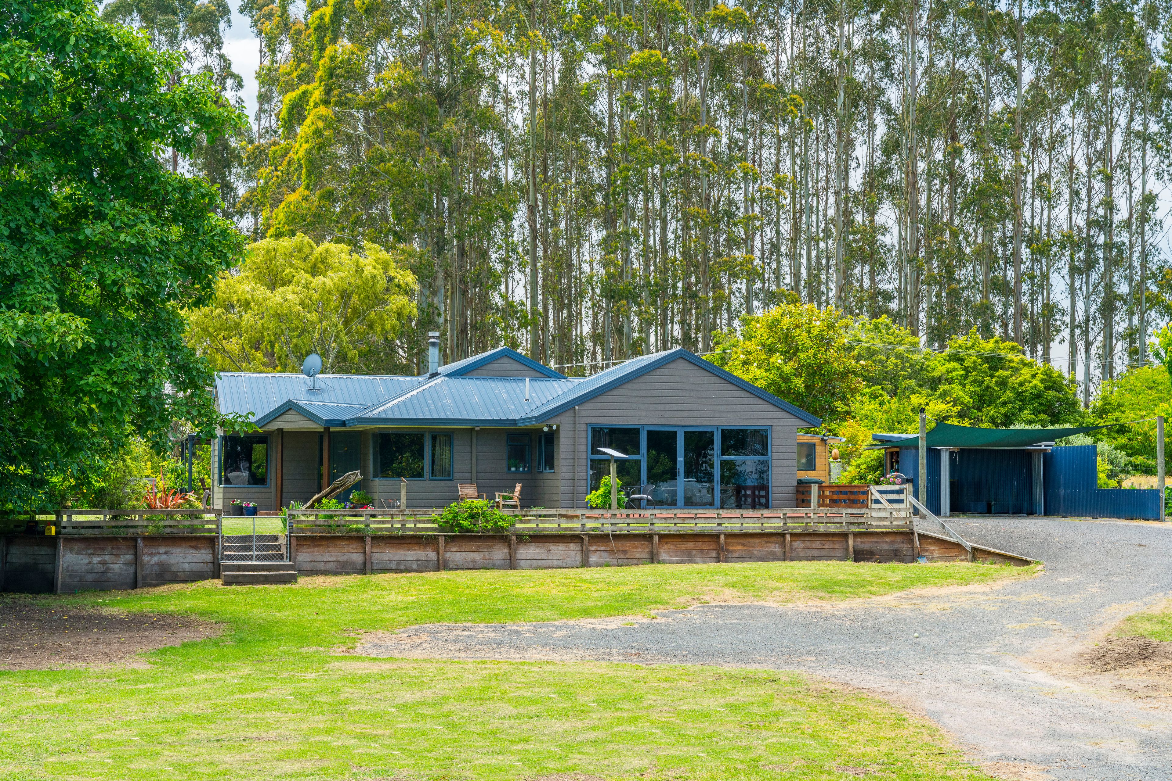 427 Palmer Mill Road, Wairakei, Taupo, Waikato | Tall Poppy
