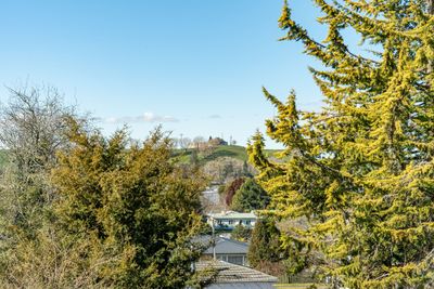 9 Manaia Street, Tokoroa, Waikato | Tall Poppy 