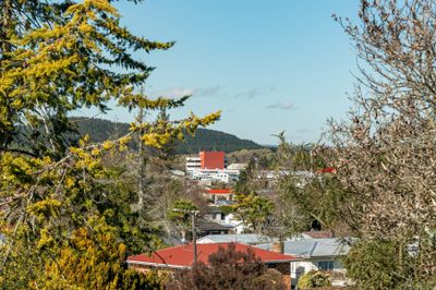 9 Manaia Street, Tokoroa, Waikato | Tall Poppy 