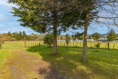 00 Kururau Road (Lot 1), Taumarunui, Ruapehu, Whanganui | Tall Poppy 