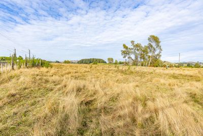 27 Kawautahi Road, Owhango, Ruapehu, Whanganui | Tall Poppy 