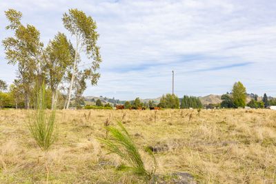27 Kawautahi Road, Owhango, Ruapehu, Whanganui | Tall Poppy 