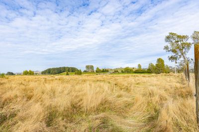 27 Kawautahi Road, Owhango, Ruapehu, Whanganui | Tall Poppy 