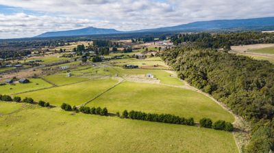 6 Horopito Heights, Ohakune, Ruapehu, Whanganui | Tall Poppy 