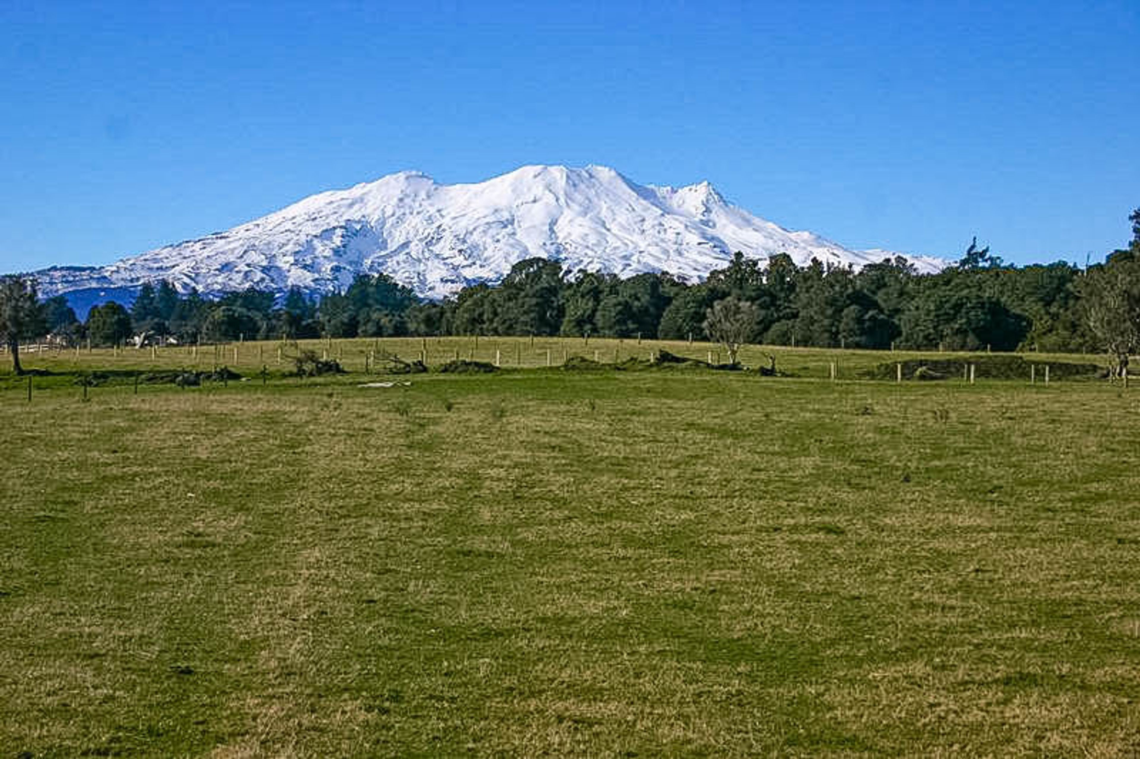 6 Horopito Heights, Ohakune, Ruapehu, Whanganui | Tall Poppy