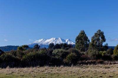 176 Mangawhero River Road, Ohakune, Ruapehu, Whanganui | Tall Poppy 