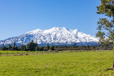 Lot 11 Matapuna Road, Horopito, Ruapehu, Whanganui | Tall Poppy 
