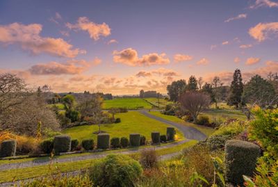 23 Onematua Road, Owhango, Ruapehu, Whanganui | Tall Poppy 