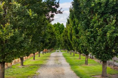 Lot 2 53 Oak Lane, Wanaka, Otago | Tall Poppy 