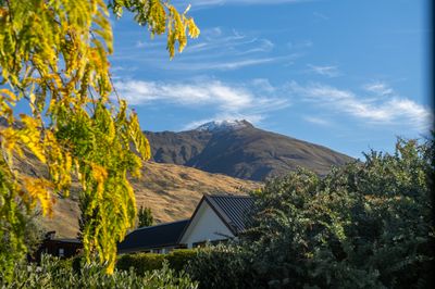 13 Niger Street, Wanaka, Wanaka, Otago | Tall Poppy 