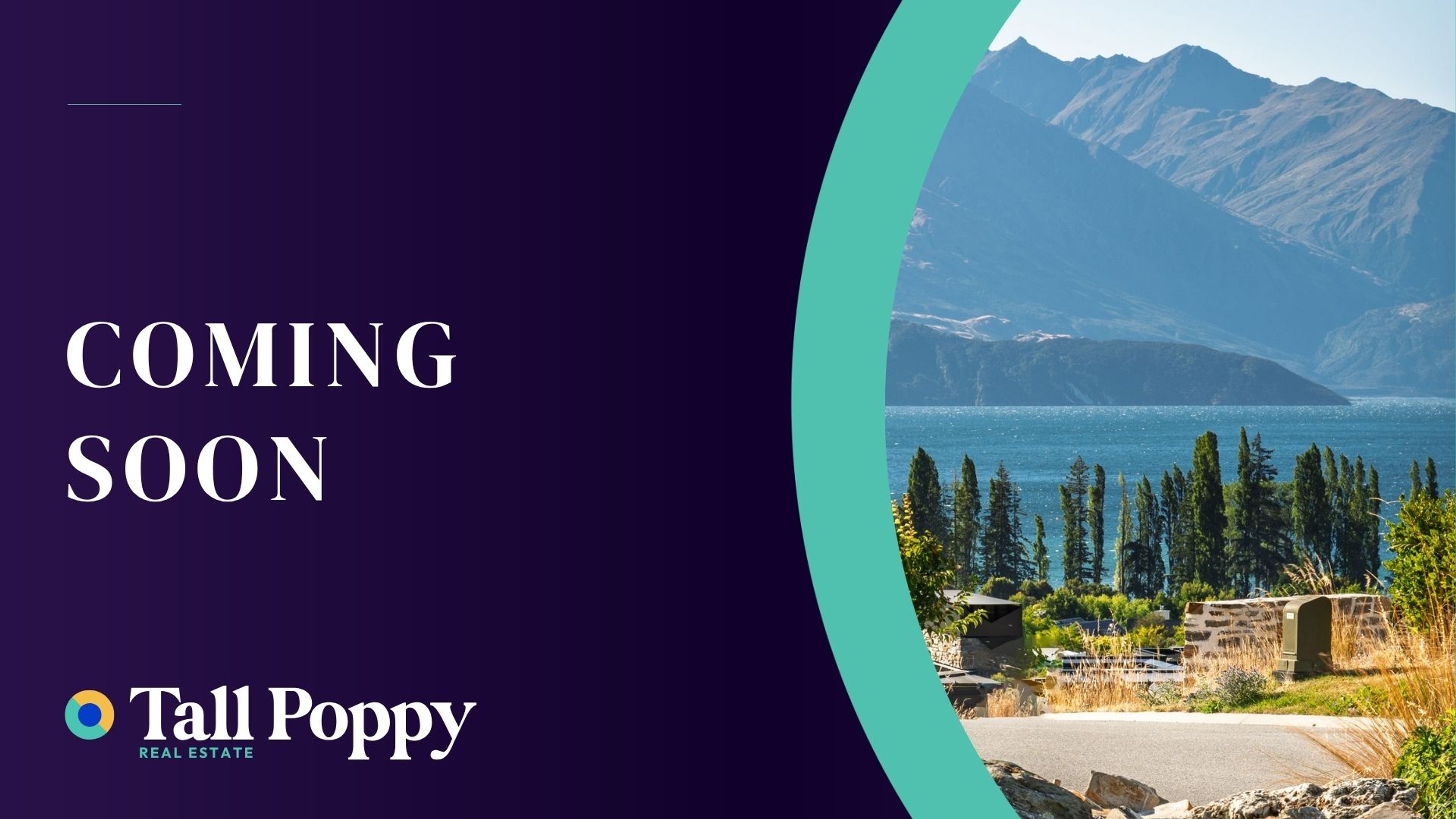 12 Scurr Terrace, Wanaka, Otago | Tall Poppy