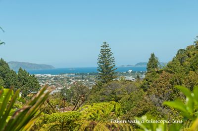 36 Natusch Road, Belmont, Lower Hutt City, Wellington | Tall Poppy 