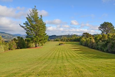 1154G Main Road North, Te Marua, Upper Hutt City, Wellington | Tall Poppy 