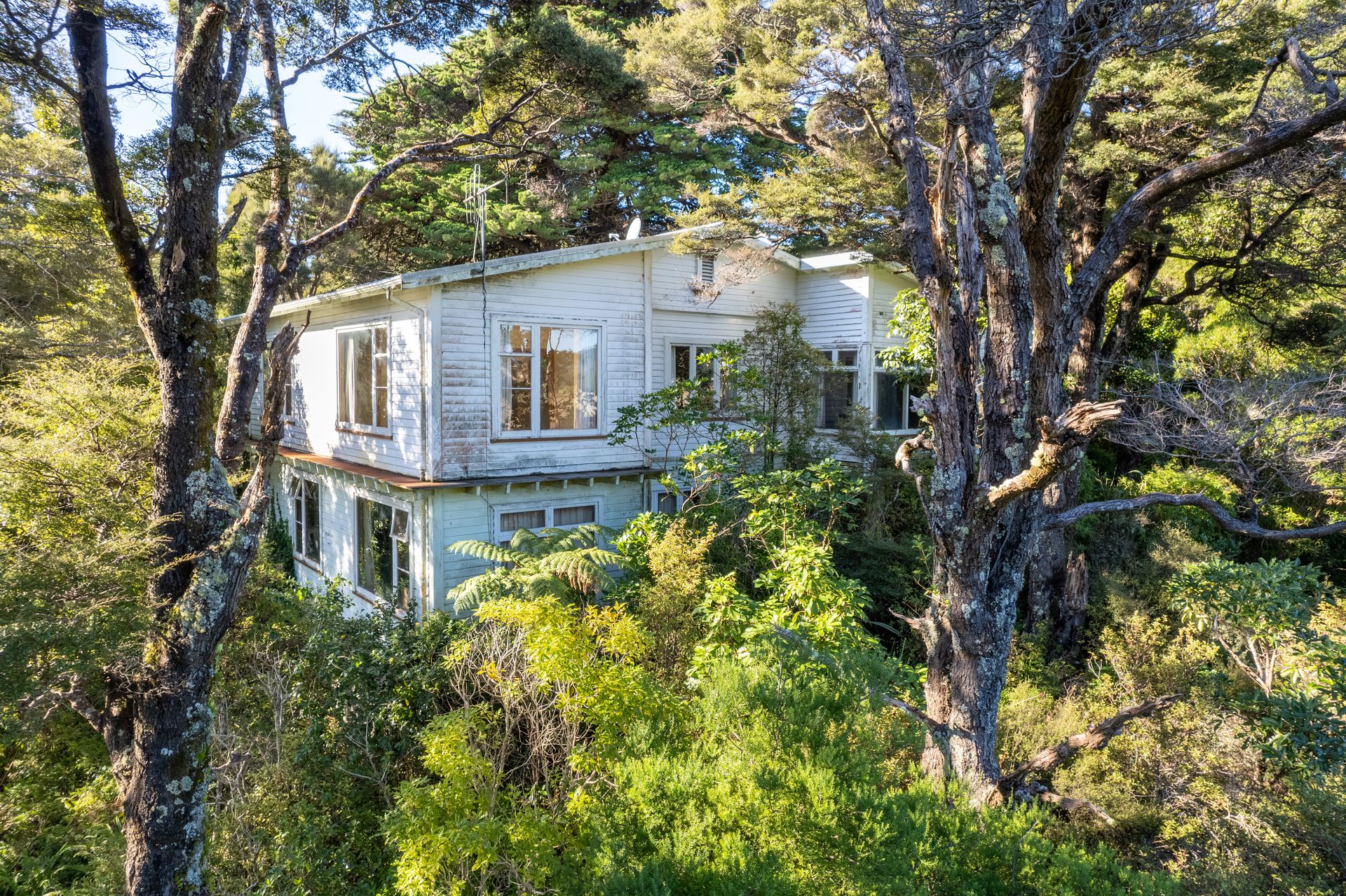 38 Plateau Road, Te Marua, Upper Hutt City, Wellington | Tall Poppy