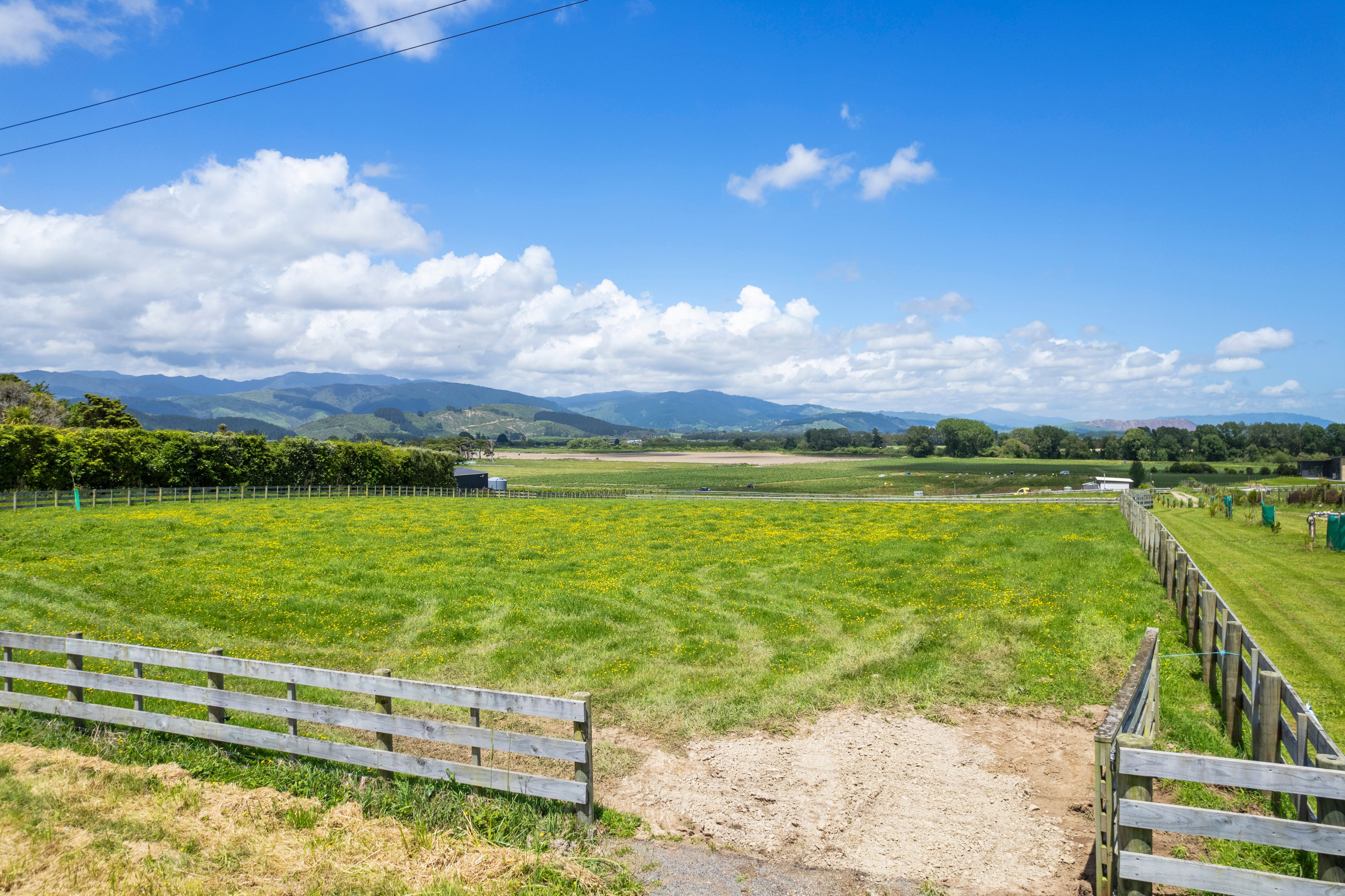 141 Muhunoa West, Ohau, Horowhenua, Manawatu | Tall Poppy