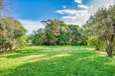 38 Russell Street, Foxton, Horowhenua, Manawatu | Tall Poppy 
