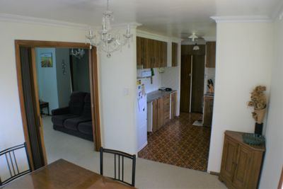 8 Mabel Street, Levin, Horowhenua, Manawatu | Tall Poppy 