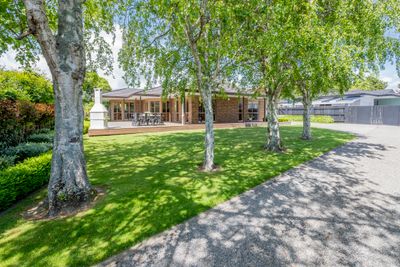 8A Dee Street, Levin, Horowhenua, Manawatu | Tall Poppy 
