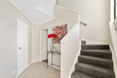 67 Dress Circle, Newlands, Wellington City, Wellington | Tall Poppy 