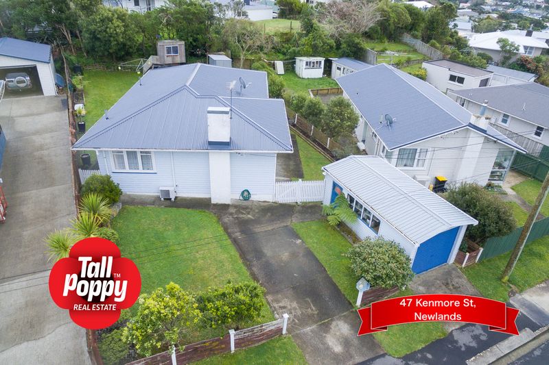 47 Kenmore Street, Newlands, Wellington City